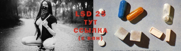 a pvp Бородино
