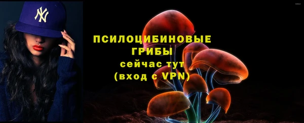 a pvp Бородино