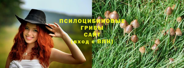a pvp Бородино