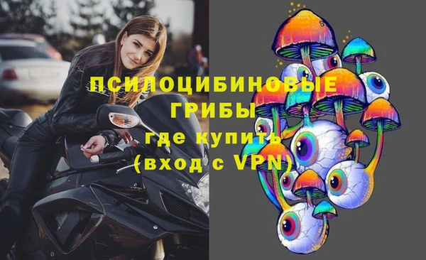 a pvp Бородино
