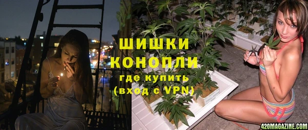 a pvp Бородино
