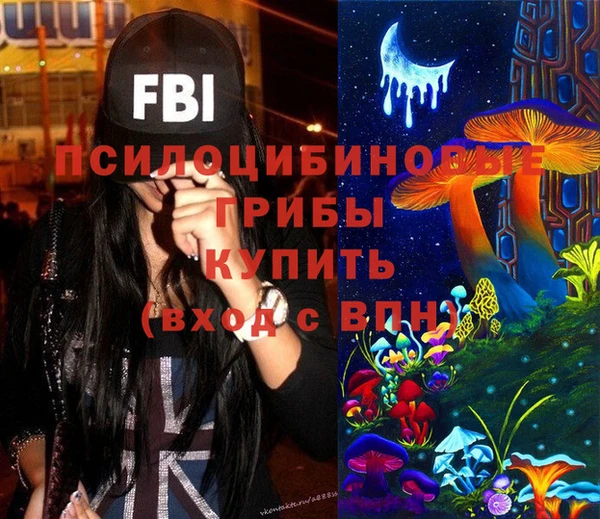 PSILOCYBIN Верхнеуральск