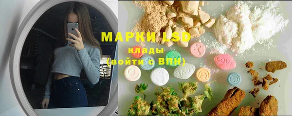 спайс Верея